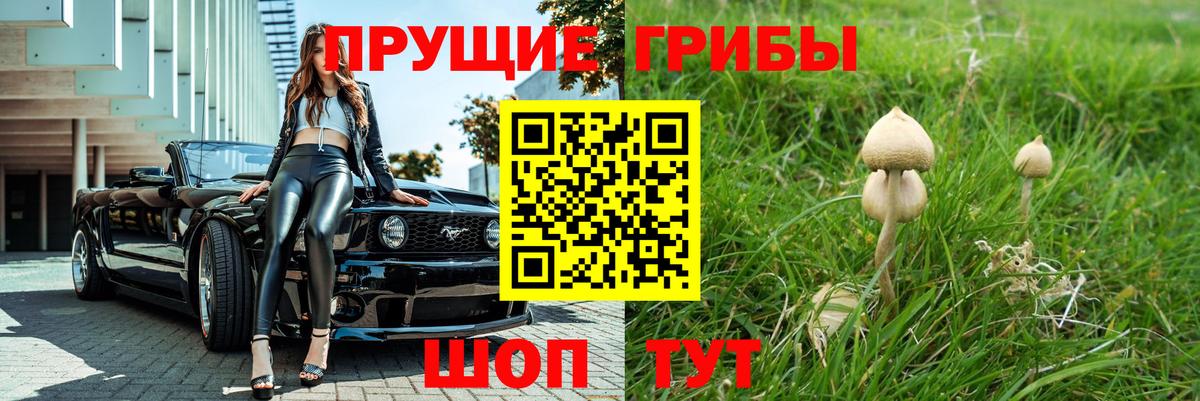 Александров  Галлюциногенные грибы мицелий  Вход с VPN 